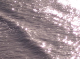 watersurface